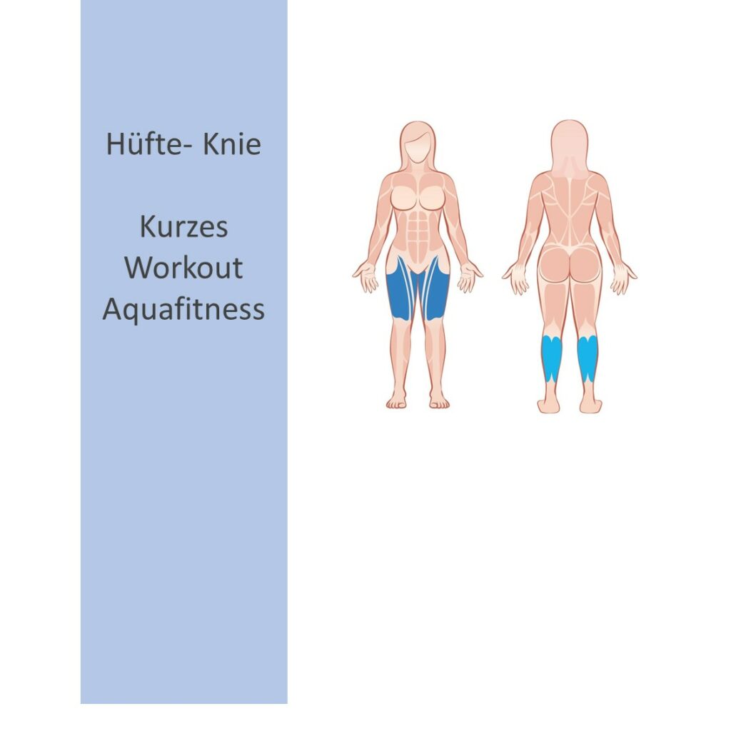 Vorschaubild für Hüfte-Knie Audio-Programme im Shop: Zeichnung eines Körpers mit farbig hervorgehobenen Muskelgruppen der Beine. 