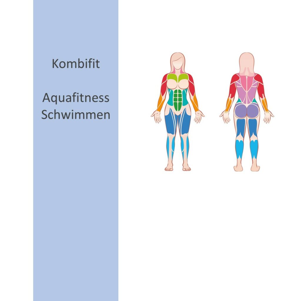 Vorschaubild für Kombifit Audio-Programme im Shop: Zeichnung eines Körpers mit farbig hervorgehobenen Muskelgruppen des gesamten Körpers.
